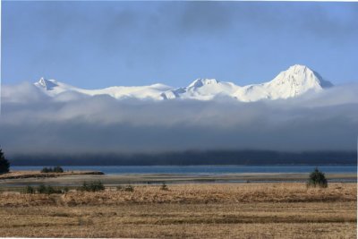 The Fog Both Lifted and Fell ...