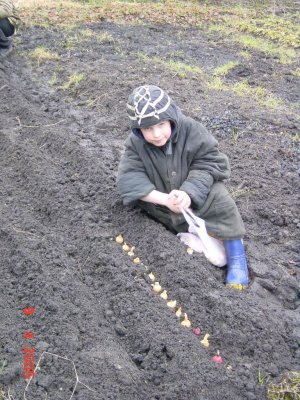 167.jpg