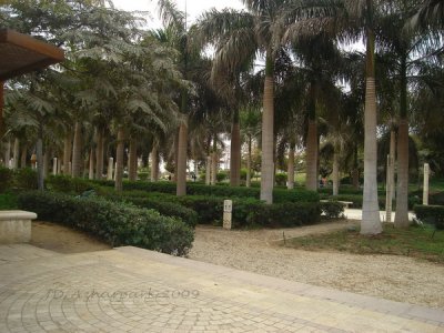Azardpark Cairo
