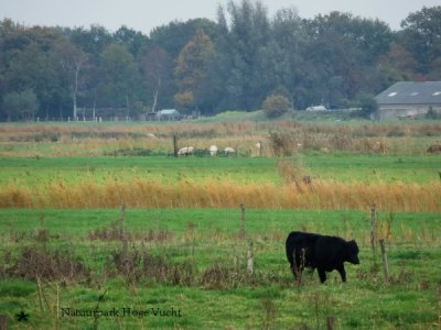 Natuurpark Hoge Vucht