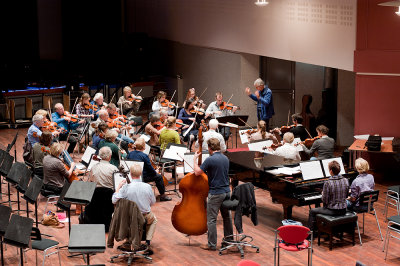 Het Groot Gelders VvAA orkest 2011
