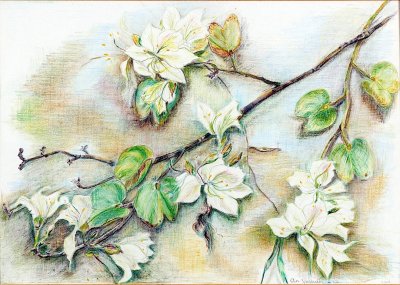flowers