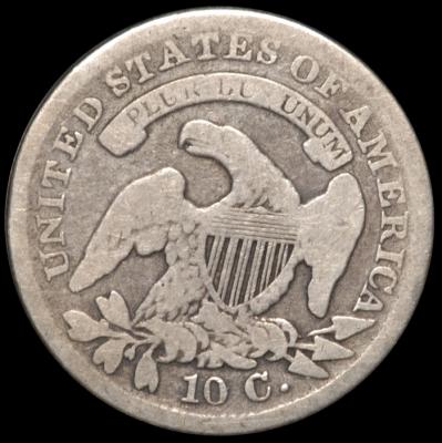 Capped Bust