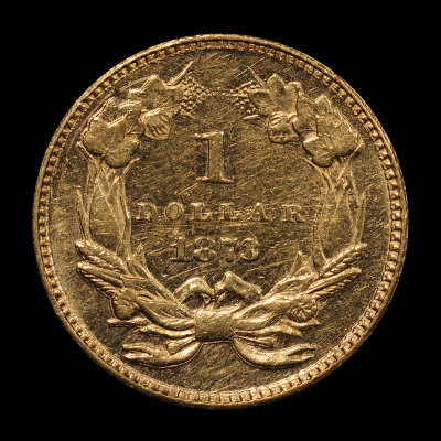 1873 Type ThreeGold Dollar