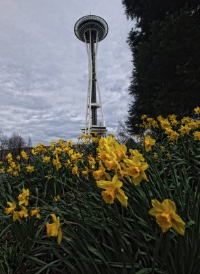 seattle_2011