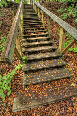 may 18 2011 stairway to the rapture.jpg