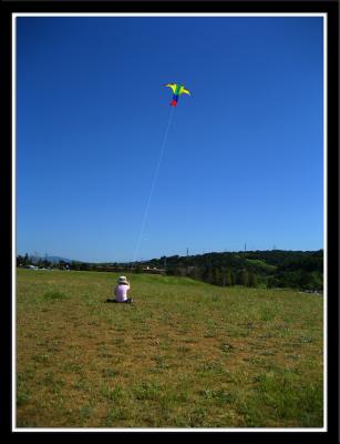 kite day.jpg