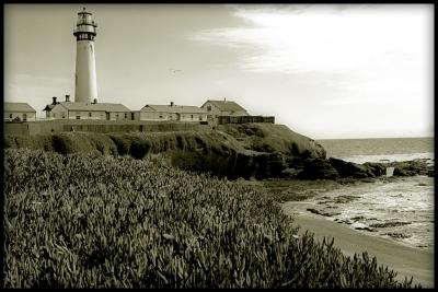 pigeon point lighthouse from archives.jpg