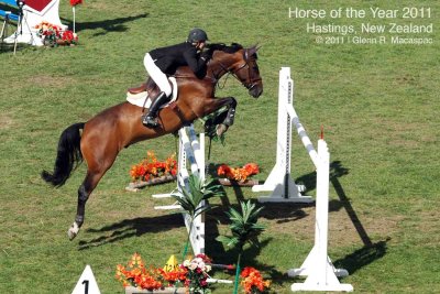 Horse of the Year 2011