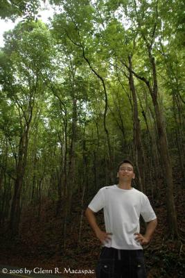 Bilar Forest