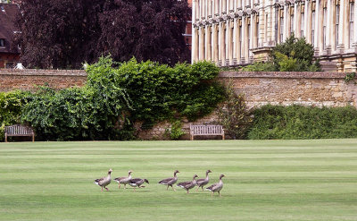 Off to Evensong