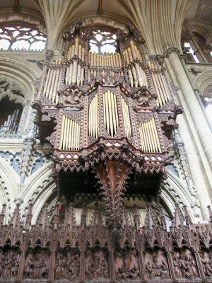 The organ  
