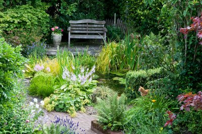 The garden pond 