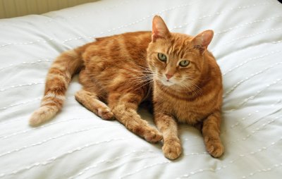 Monty  