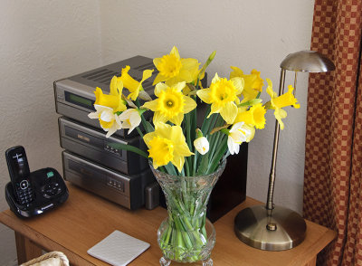 Daffs 4 March 2012