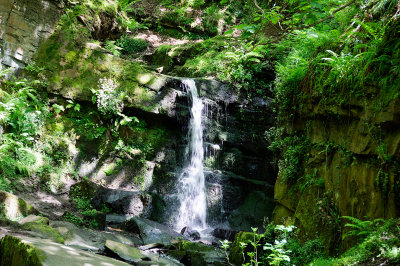 Waterfall in the Fairy Glen