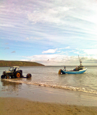 Sinnington from 6 to 8 September 2011