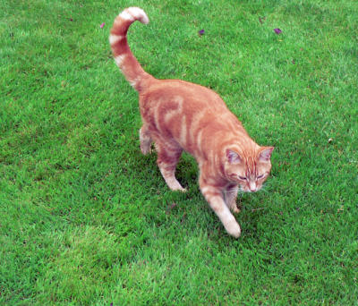 Monty June 2006