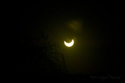 Solar Eclipse May 20