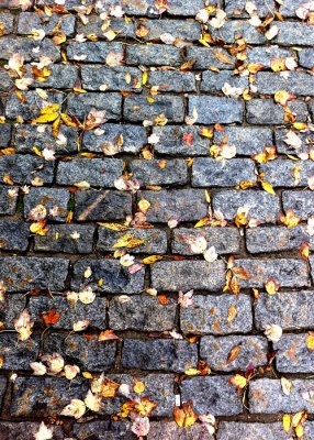 Fall Leaves on the Bricks