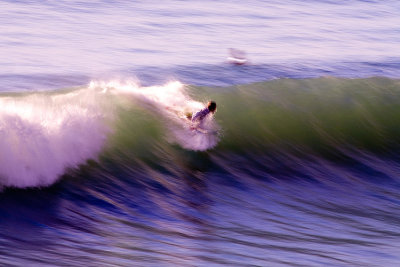 Surfing_IMG_8575PB