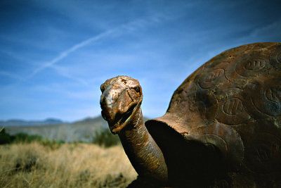 Giant Tortoise