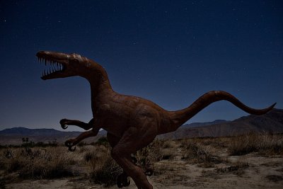 Velociraptor  at Night