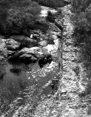 Mission Trails