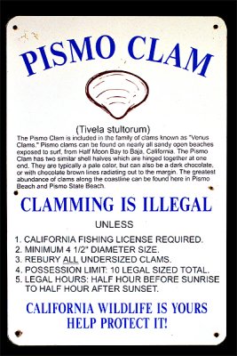 Clam Info