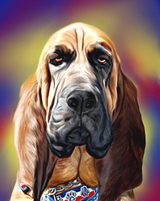 Henry The Bloodhound