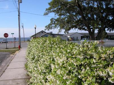 Southport, North Carolina - May 2006