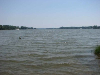 IMG_0356.jpg
