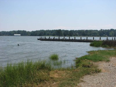 IMG_0357.jpg