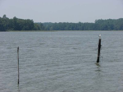 IMG_0358.jpg
