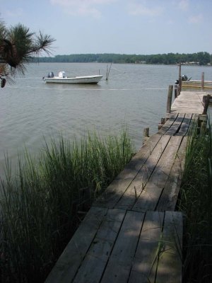 IMG_0361.jpg