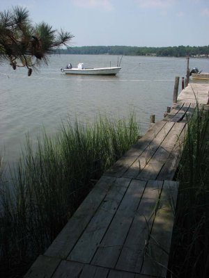IMG_0362.jpg