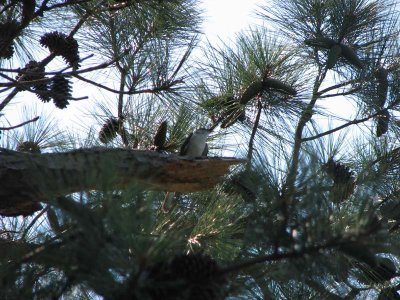 IMG_0364.jpg