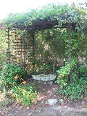 IMG_0372.jpg