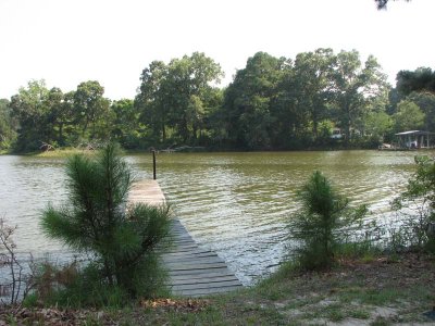 IMG_0374.jpg