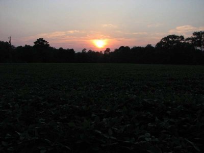 IMG_0414.jpg