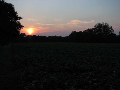 IMG_0415.jpg