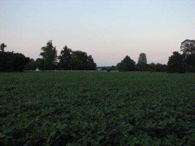 IMG_0417.jpg