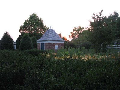 IMG_0425.jpg