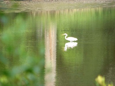 IMG_0437.jpg