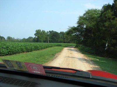 IMG_0485.jpg