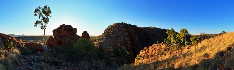 Early Morning Glen Helen Gorge 