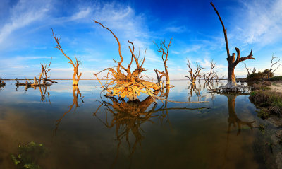 Banks of Lake Bonney