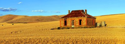 Abandoned Mid North Homestead