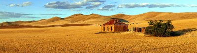 Abandoned Mid North Homestead