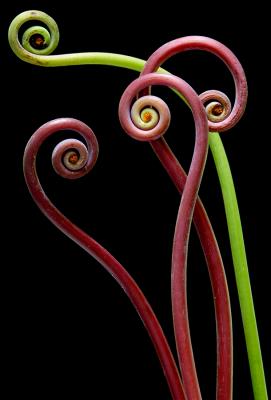 Spirals